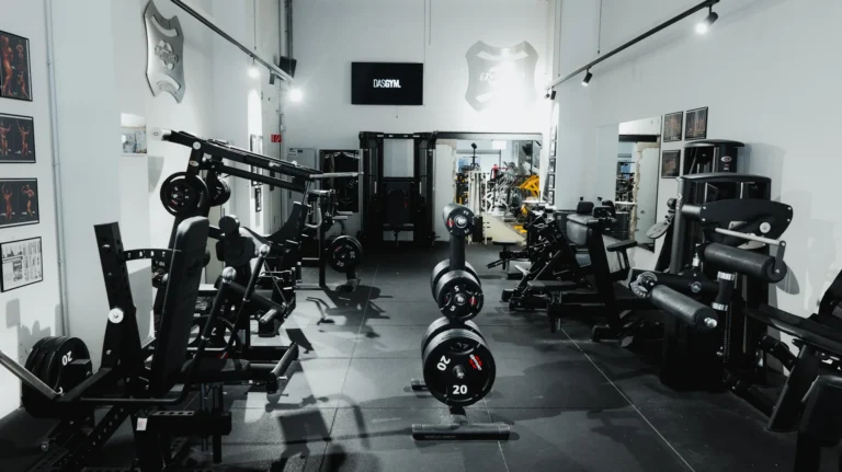 bodybuilding-gym80-trainingsflaeche-uebersicht